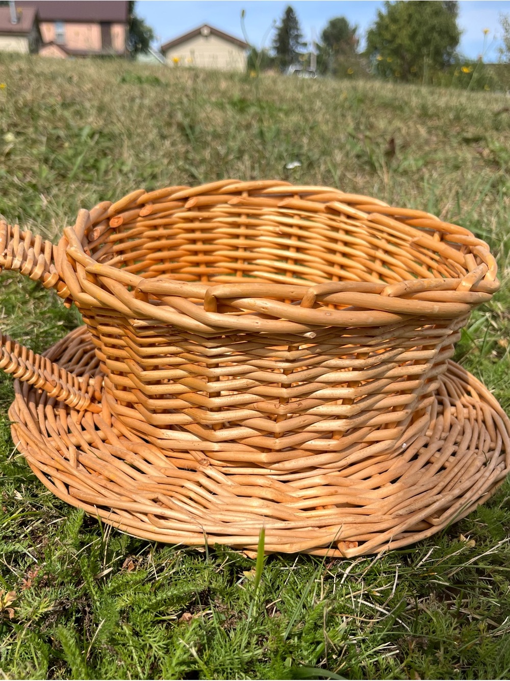 Woven Rattan Decorative Basket - Natural Brown . Coffee Cup Shape